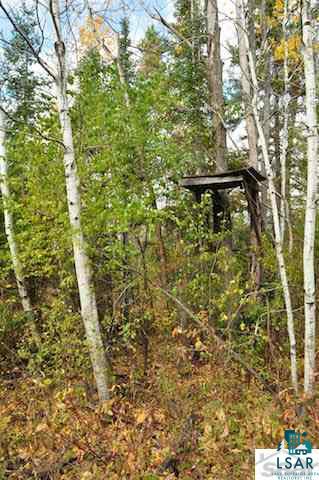 0 County Rd C High Bridge, WI 54846 - Photo 4 of 21