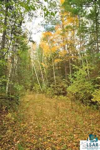 0 County Rd C High Bridge, WI 54846 - Photo 6 of 21