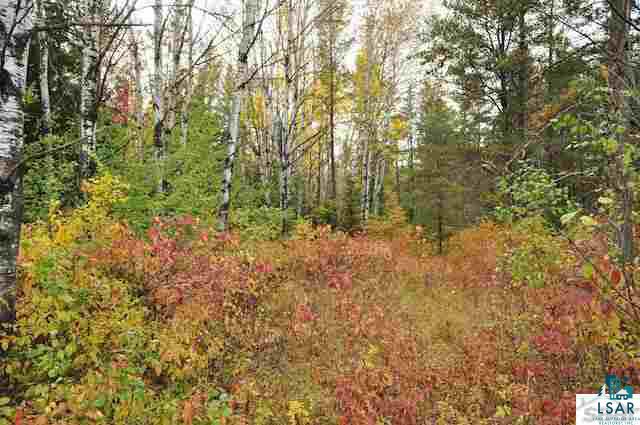 0 County Rd C High Bridge, WI 54846 - Photo 7 of 21