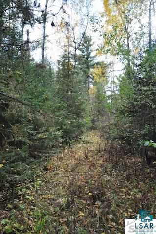 0 County Rd C High Bridge, WI 54846 - Photo 8 of 21