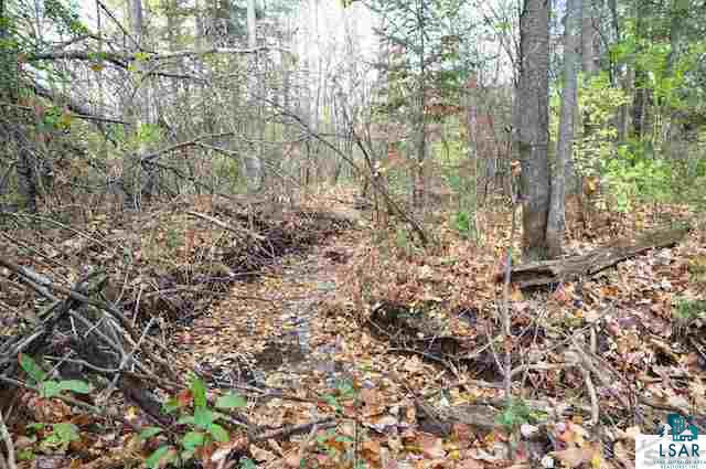 0 County Rd C High Bridge, WI 54846 - Photo 9 of 21
