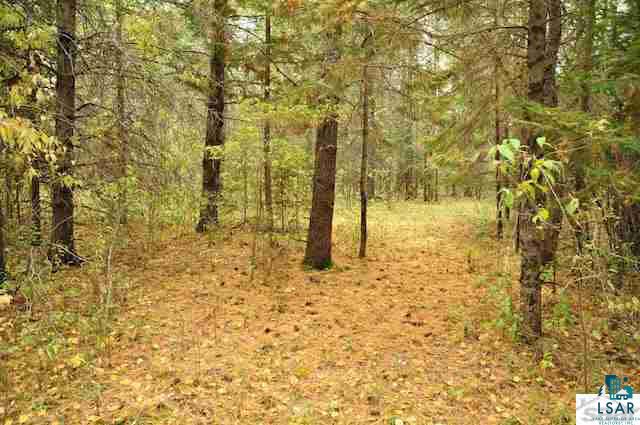 0 County Rd C High Bridge, WI 54846 - Photo 10 of 21