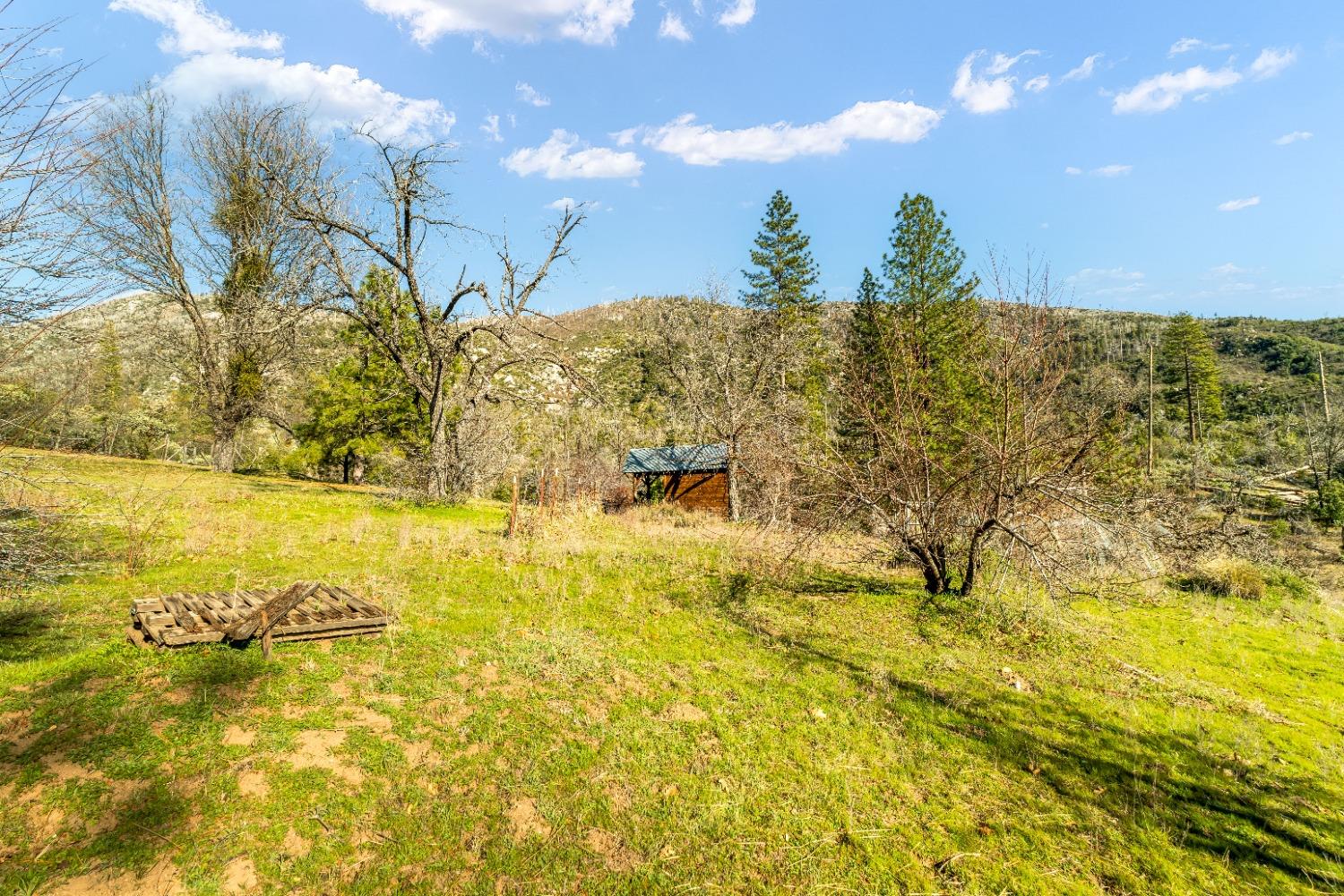 36659 Douglas Ranger Station Road North Fork, CA 93643 - Photo 32 of 38