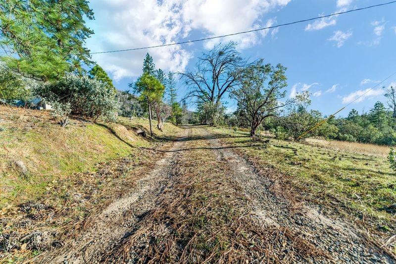 36659 Douglas Ranger Station Road North Fork, CA 93643 - Photo 33 of 38 a view of a yard with a tree