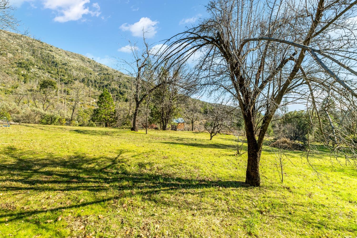 36659 Douglas Ranger Station Road North Fork, CA 93643 - Photo 34 of 38 a view of an ocean view