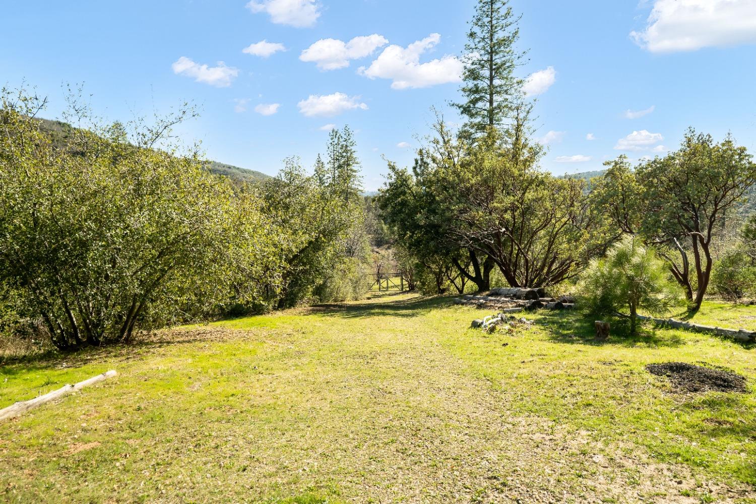 36659 Douglas Ranger Station Road North Fork, CA 93643 - Photo 6 of 38 a view of swimming pool with an outdoor space