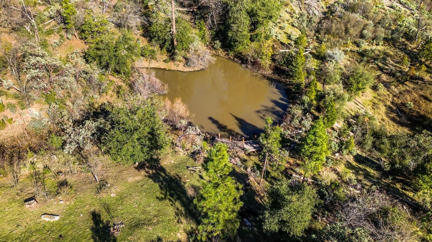 36659 Douglas Ranger Station Road North Fork, CA 93643 - Photo 7 of 38