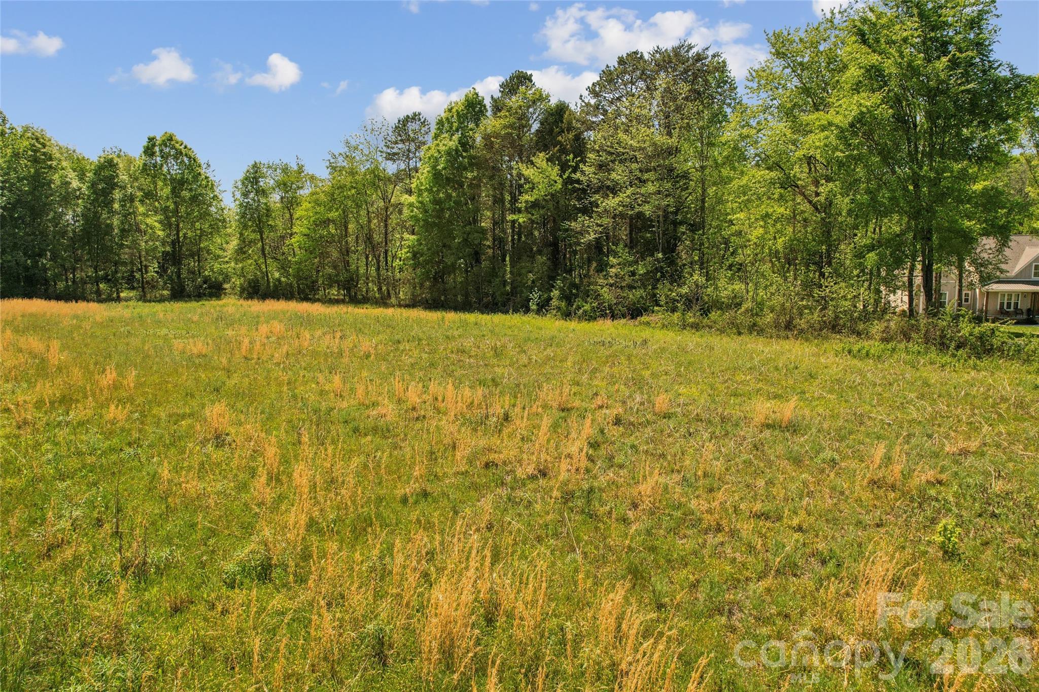 1025 Patterson Farm Road Mooresville, NC 28115 - Photo 11 of 14 a view of yard with trees