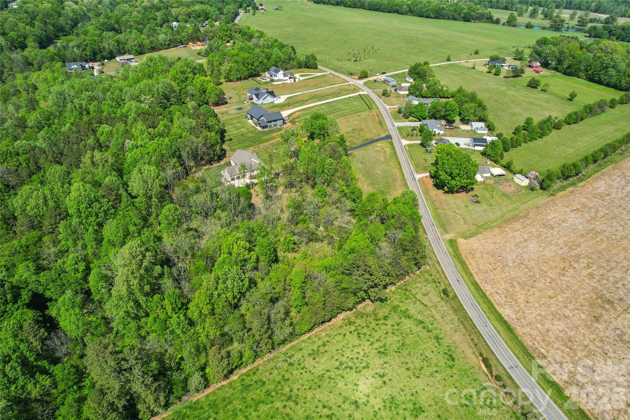 1025 Patterson Farm Road Mooresville, NC 28115 - Photo 5 of 14 a view of a yard with plants