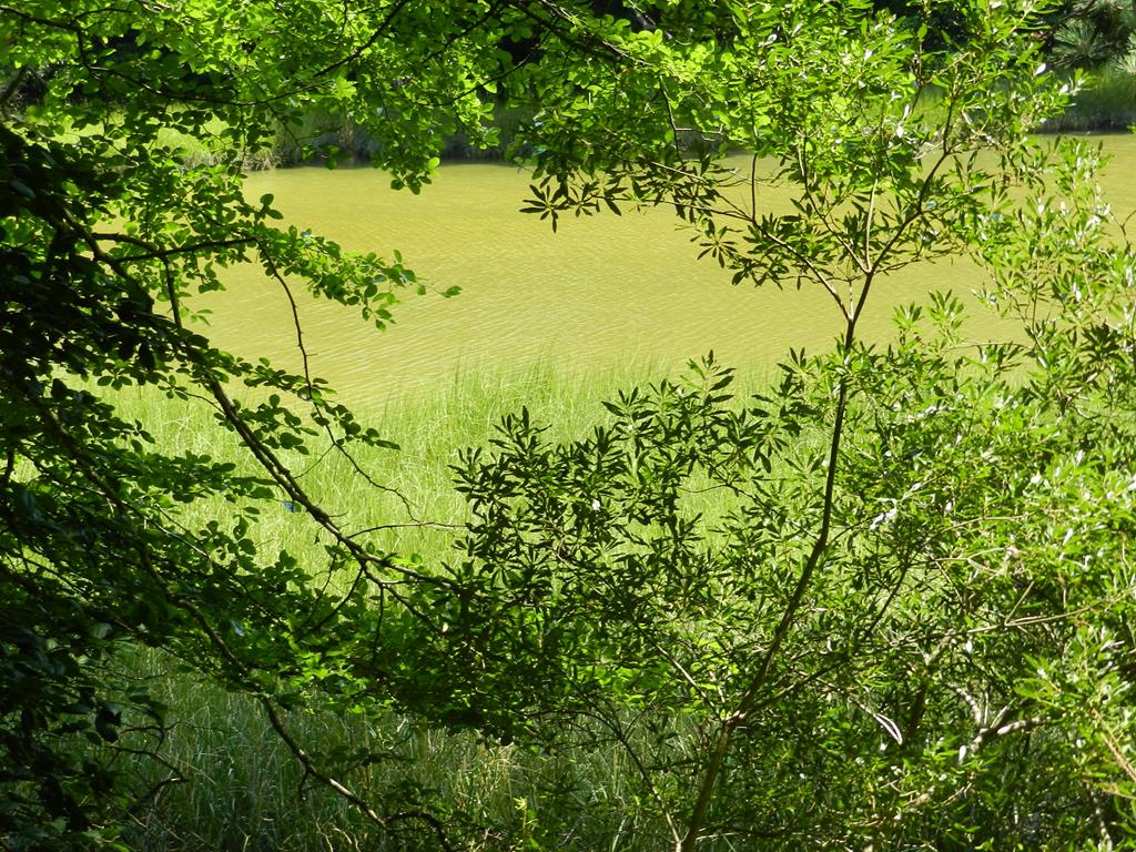 Lot B5 Saltworks Road, Unit B5 Exmore, VA 23350 - Photo 3 of 16