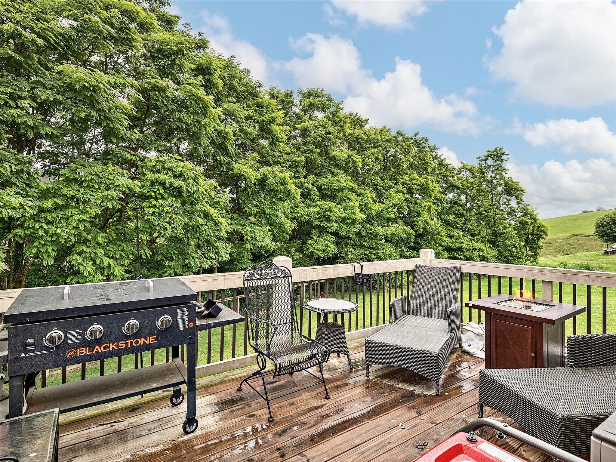 264 Tipton Hill Road Leicester, NC 28748 - Photo 12 of 21 Gallery Image 12