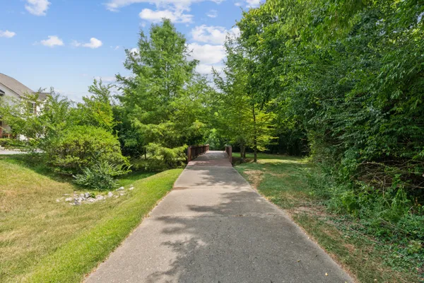 a view of a pathway both side of yard