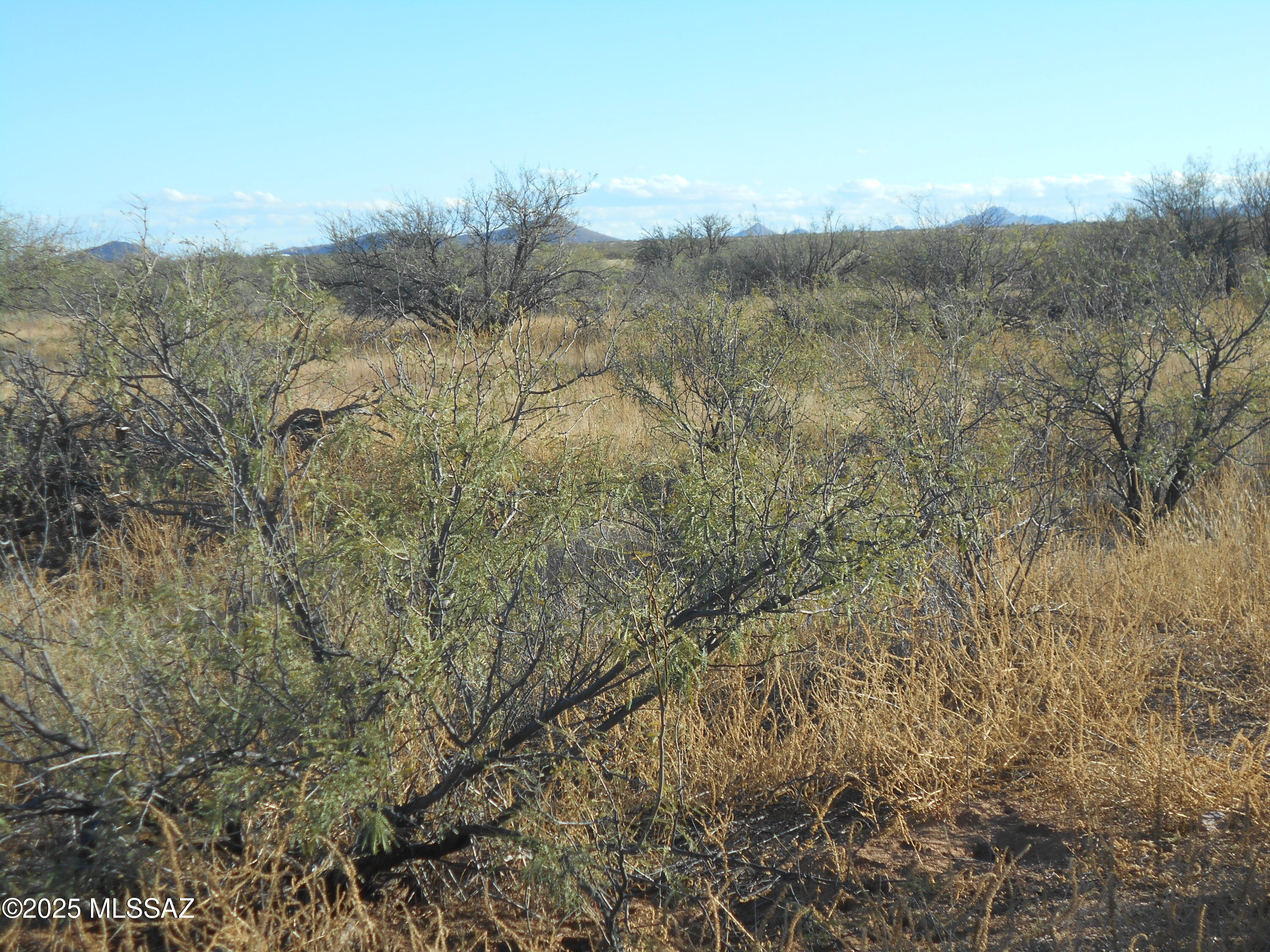 4.25-acres Eastland Road, Unit 8 Cochise, AZ 85606 - Photo 18 of 35