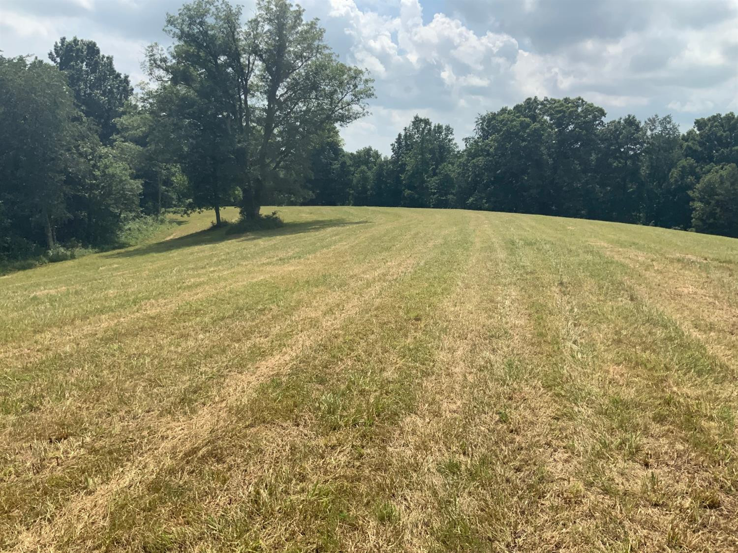 1915 Mt Zion Road Frankfort, KY 40601 - Photo 13 of 18 Photo 13