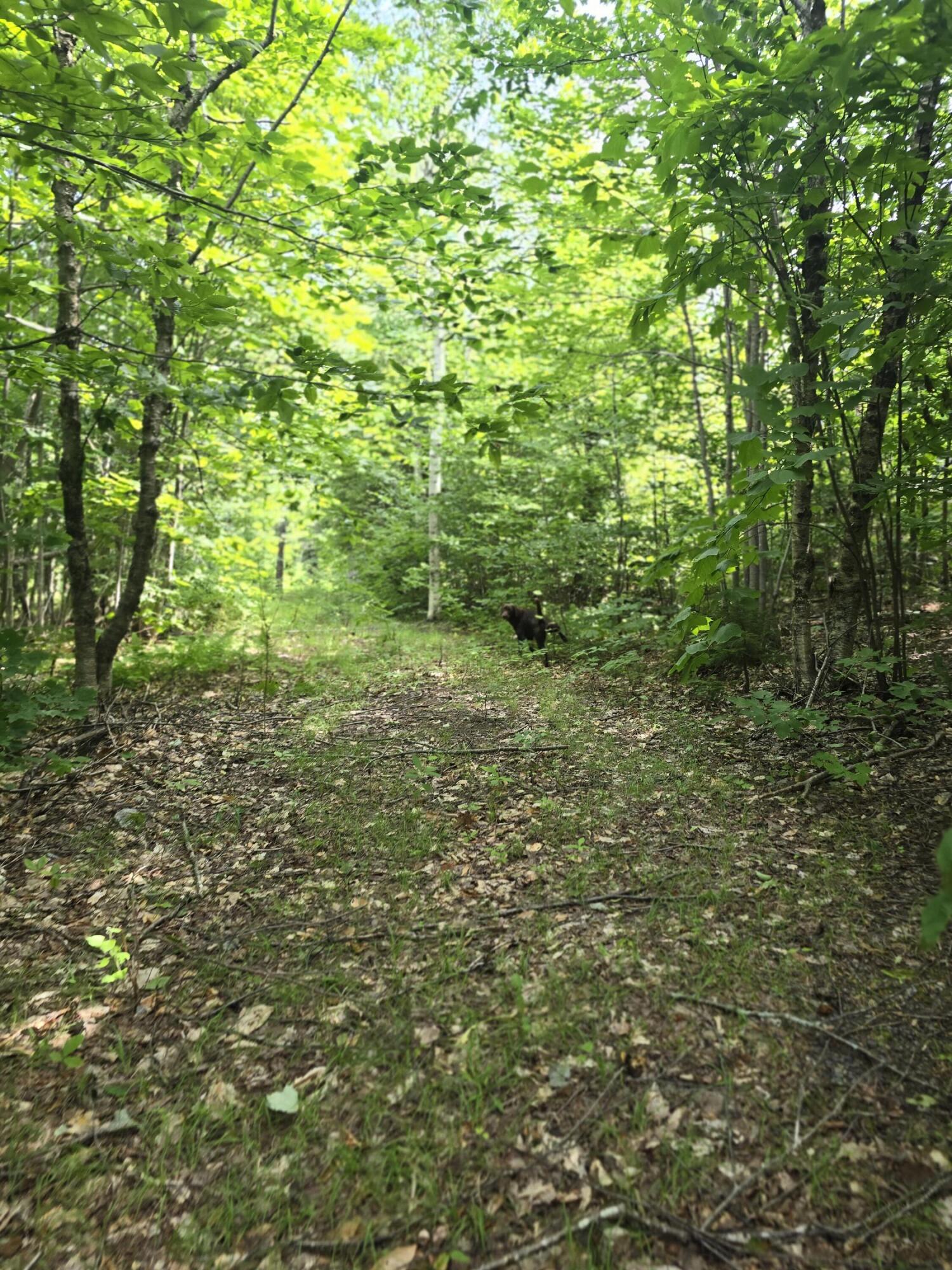 5 Ackley Pond Road Mount Chase, ME 04765 - Photo 14 of 18 20250722_104451