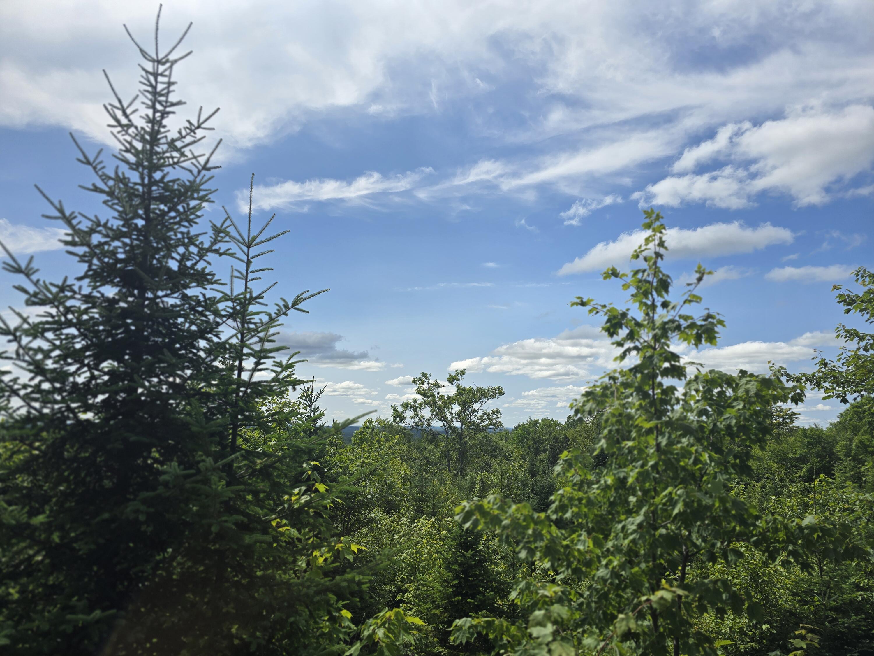 5 Ackley Pond Road Mount Chase, ME 04765 - Photo 17 of 18 20250722_104944