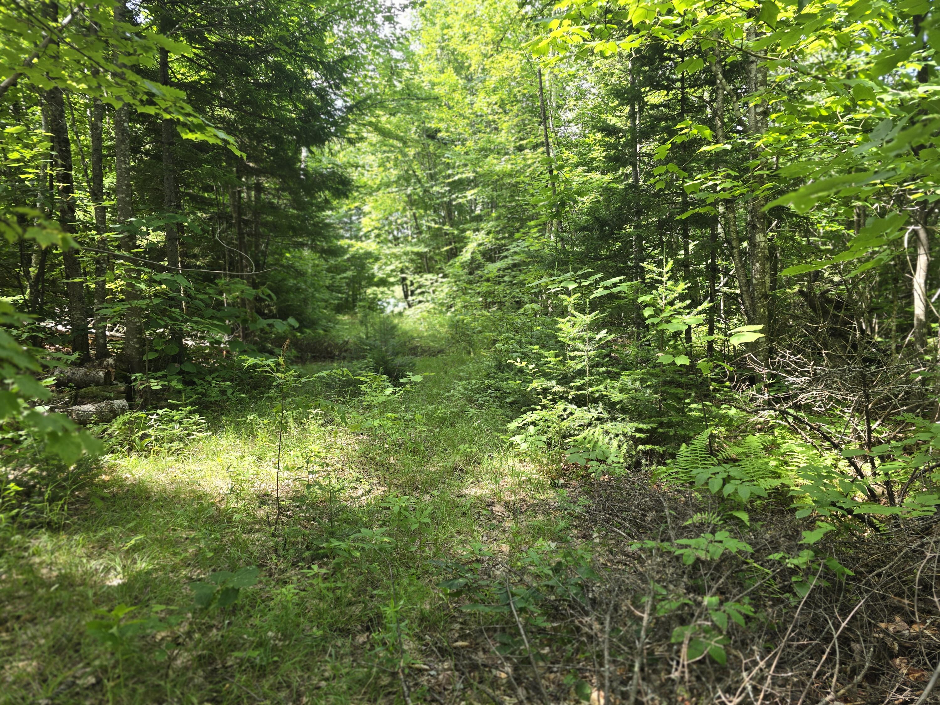 5 Ackley Pond Road Mount Chase, ME 04765 - Photo 18 of 18 20250722_110227