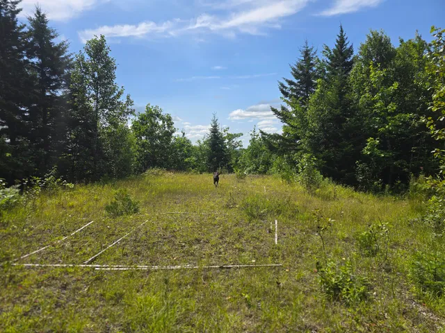 $80,000 | 5 Ackley Pond Road, Mount Chase, ME 04765