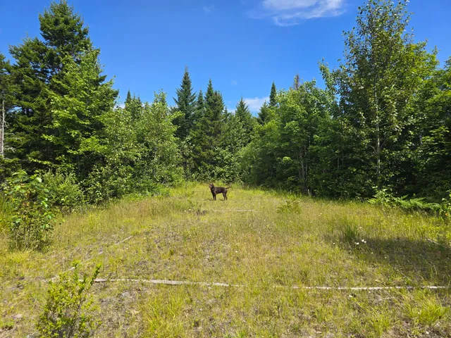 $80,000 | 5 Ackley Pond Road, Mount Chase, ME 04765