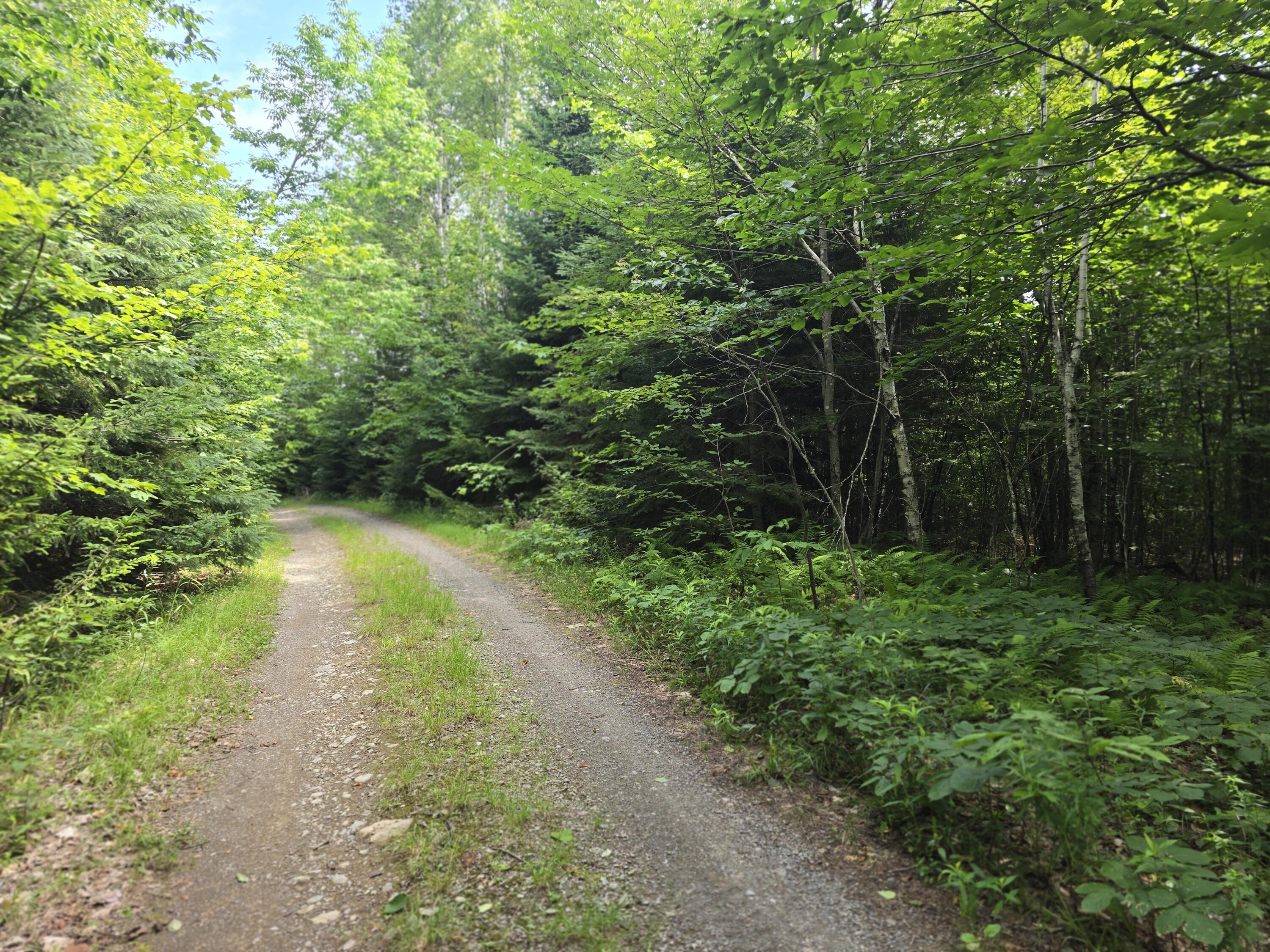 5 Ackley Pond Road Mount Chase, ME 04765 - Photo 7 of 18 20250722_104147