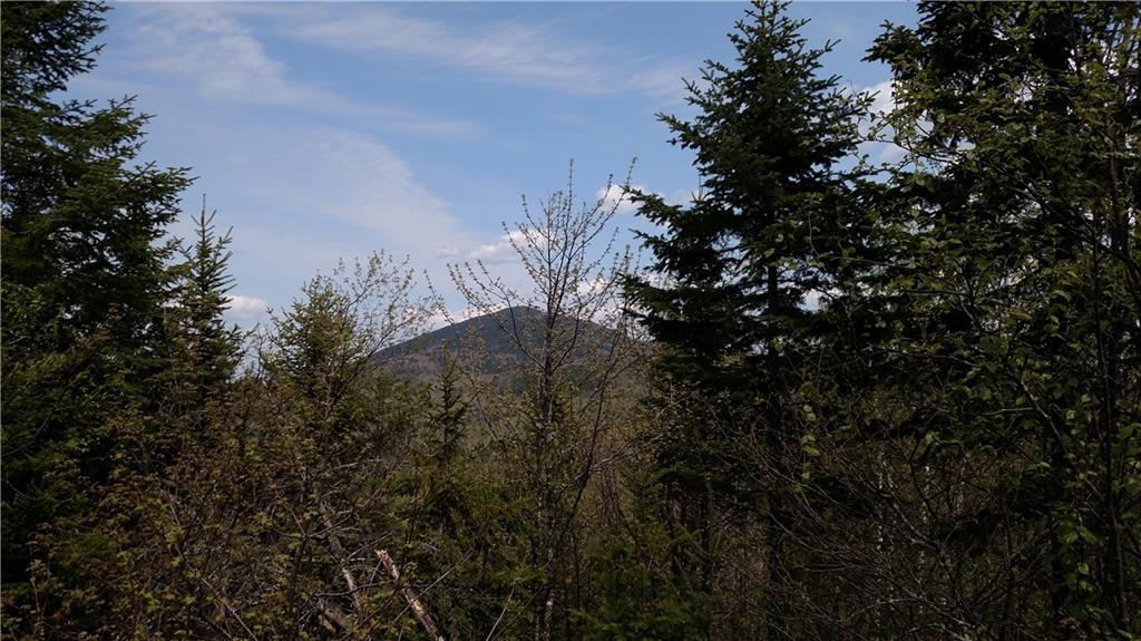 5 Ackley Pond Road Mount Chase, ME 04765 - Photo 9 of 18 Photo