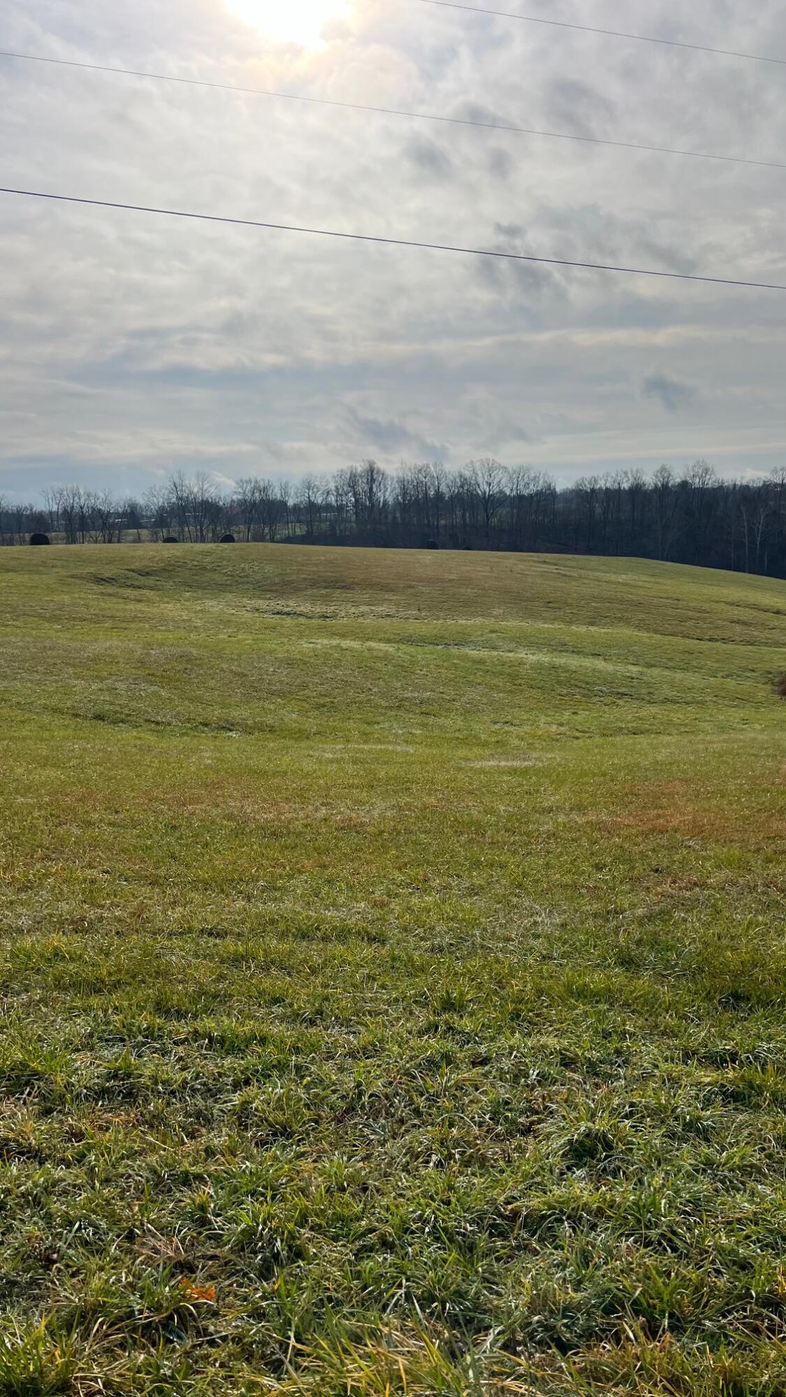 360-5 Mulligan Road Dry Ridge, KY 41035 - Photo 10 of 19