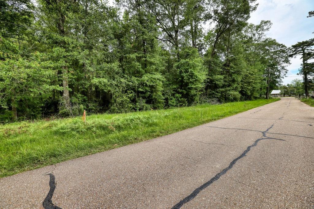 0 Cassle Road Denham Springs, LA 70726 - Photo 6 of 10 Gallery Image 6