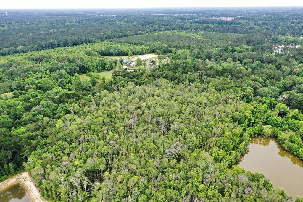 0 Cassle Road Denham Springs, LA 70726 - Photo 9 of 10 Gallery Image 9