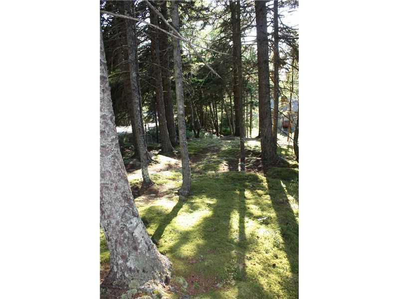18 Wrong Road Swans Island, ME 04685 - Photo 31 of 35 Yard/Garden. Front yard of cabin