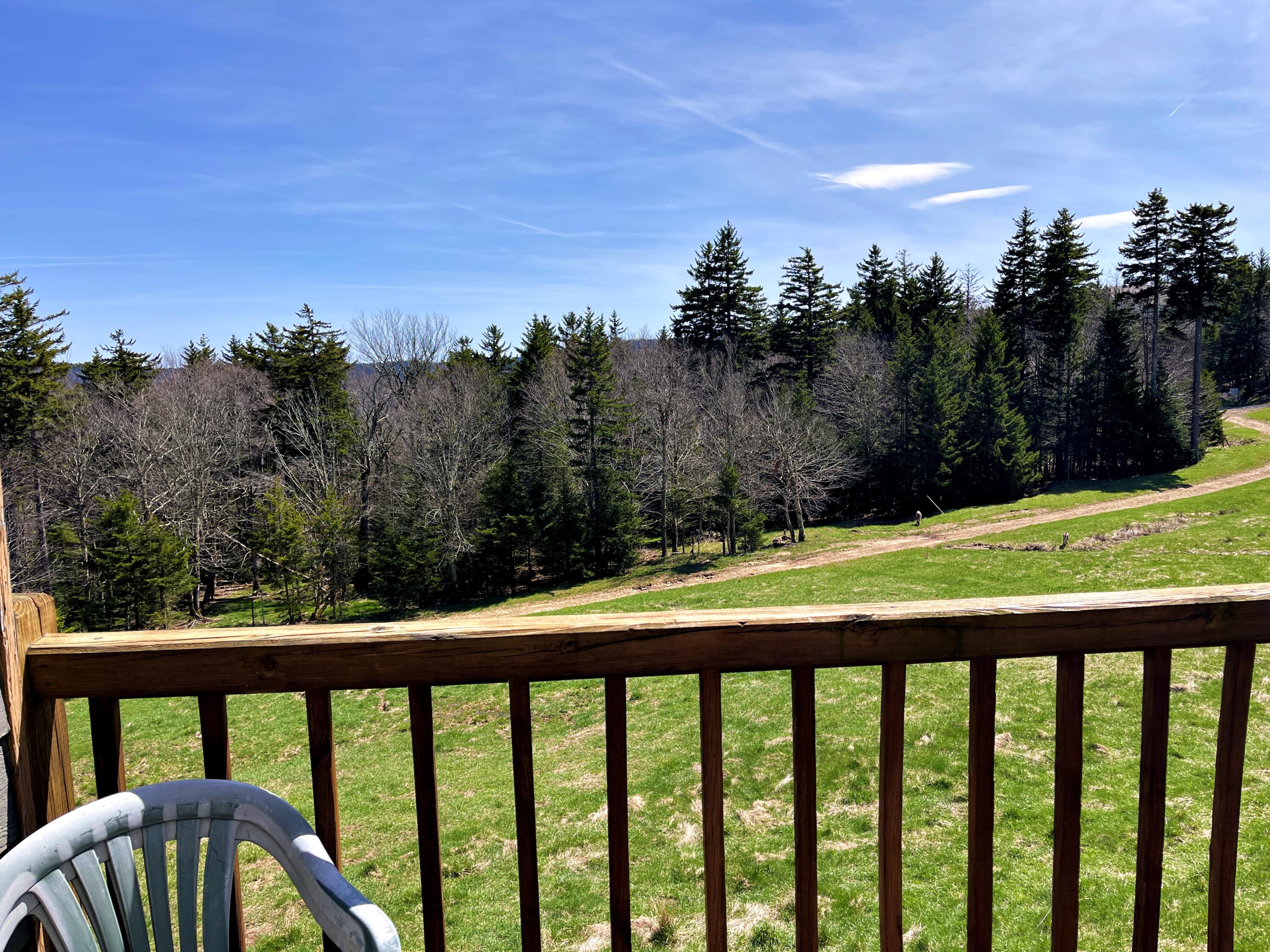 55 Powderidge Road Snowshoe, WV 26209 - Photo 8 of 23 Gallery Image 8