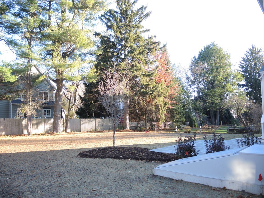 38 Mayflower Road Needham, MA 02492 - Photo 4 of 21