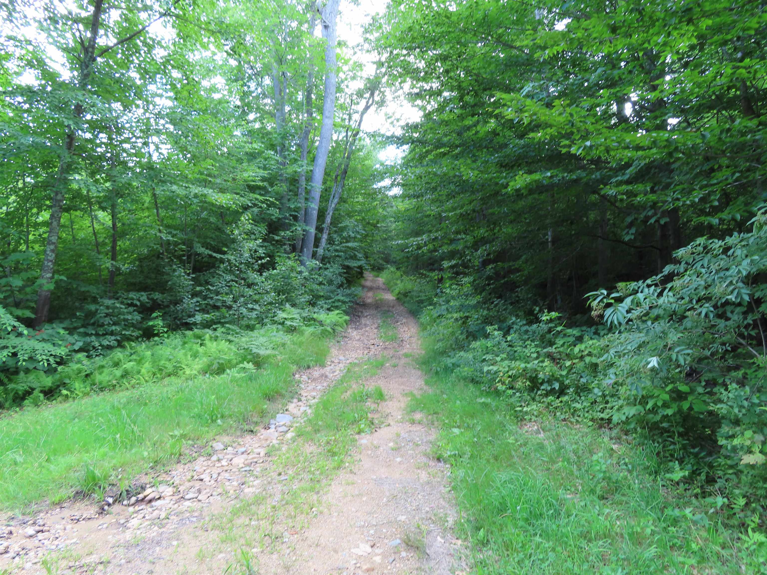 Lot 49 Parsonage Hill Road Gilmanton, NH 03237 - Photo 2 of 22