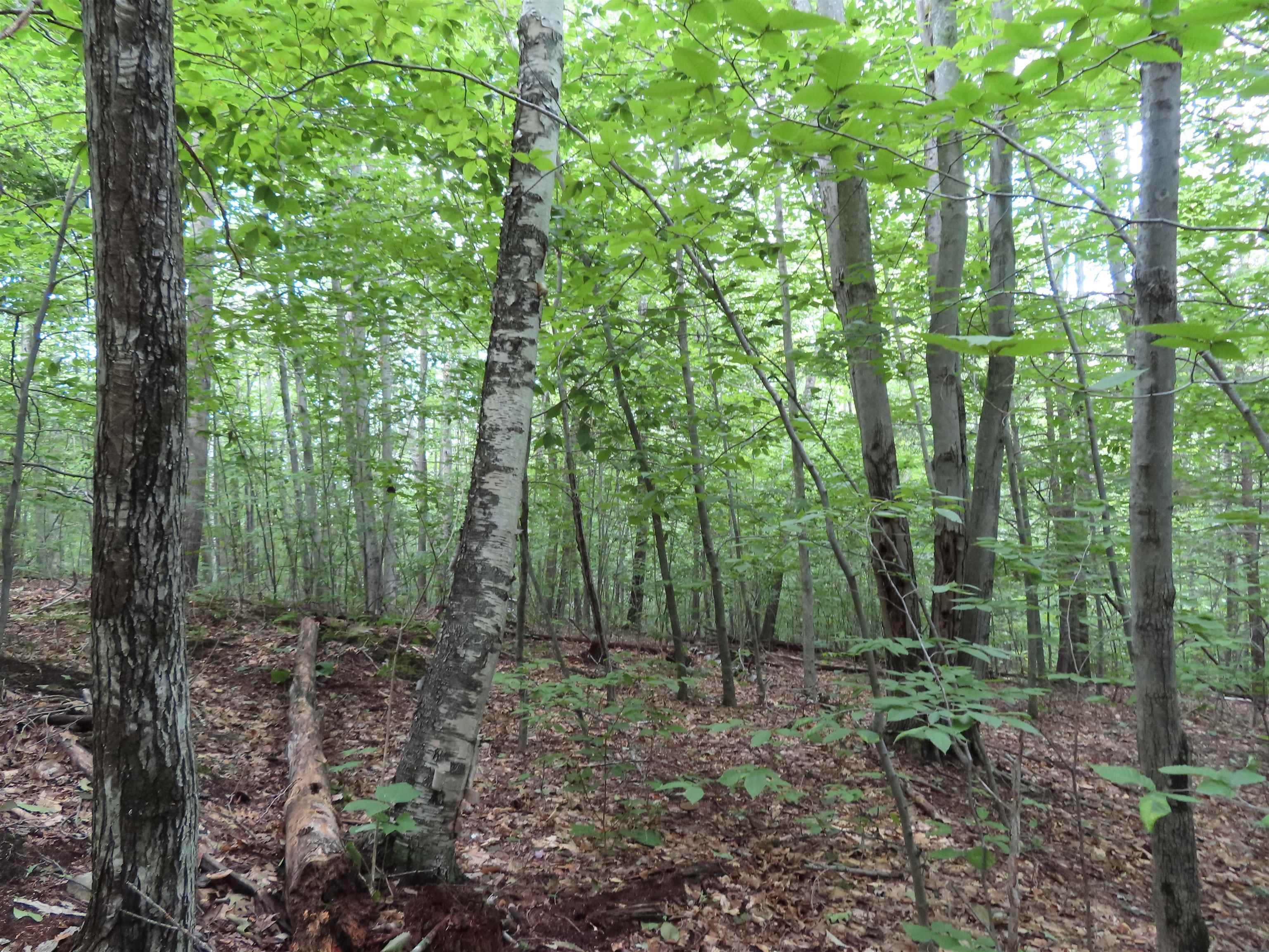 Lot 49 Parsonage Hill Road Gilmanton, NH 03237 - Photo 11 of 22