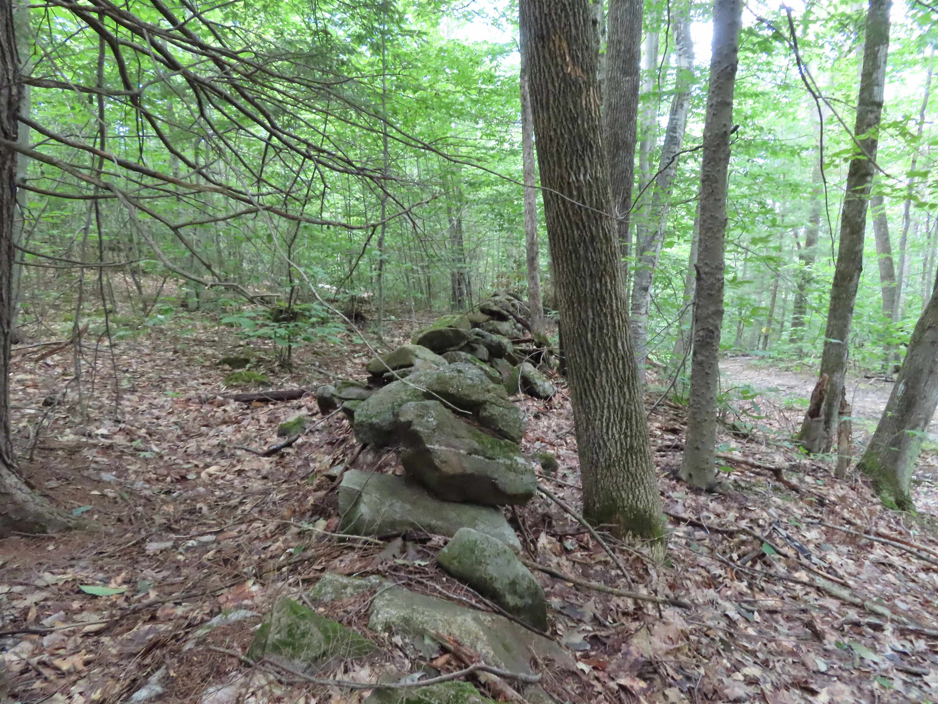 Lot 49 Parsonage Hill Road Gilmanton, NH 03237 - Photo 12 of 22