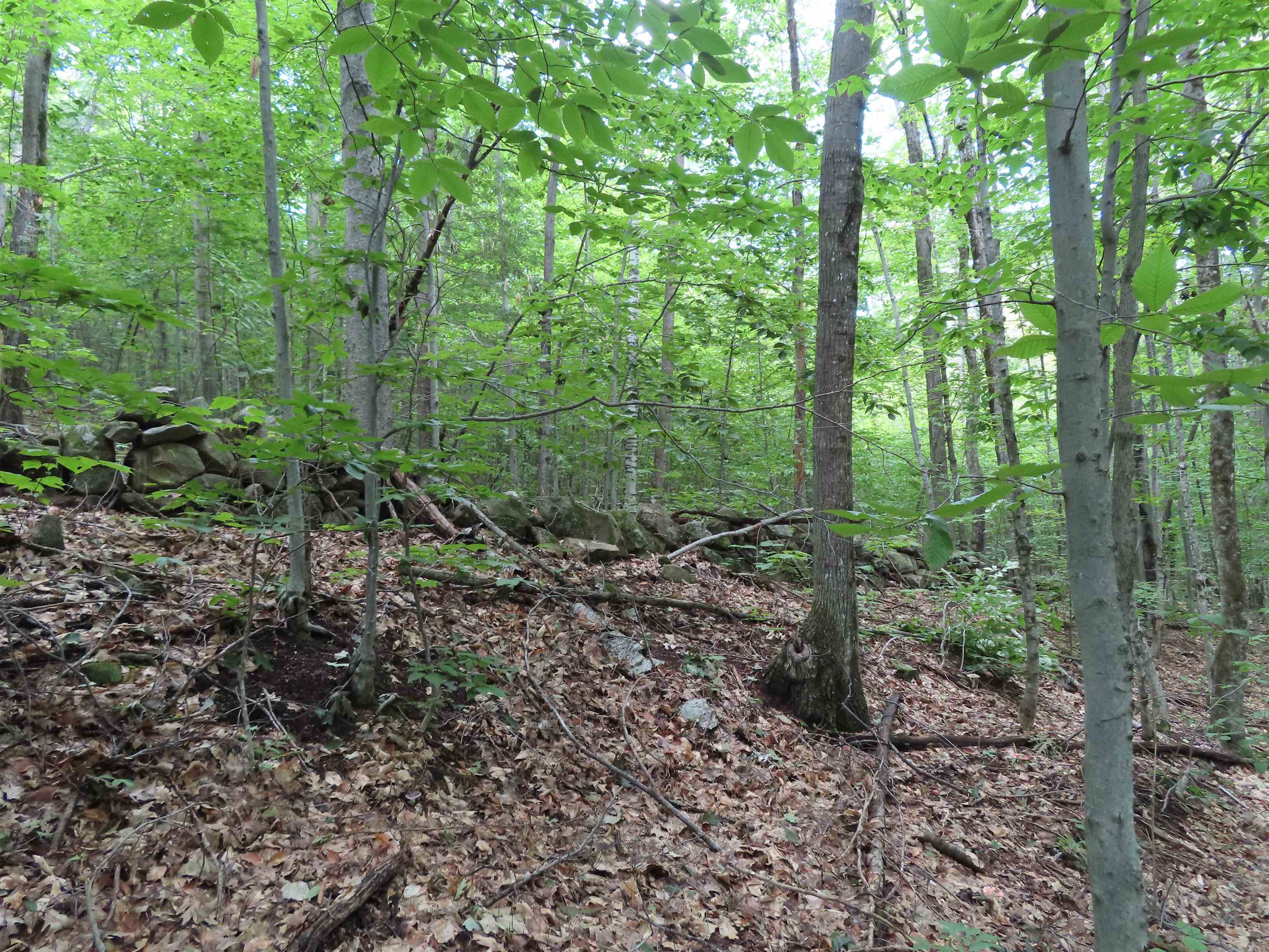 Lot 49 Parsonage Hill Road Gilmanton, NH 03237 - Photo 13 of 22