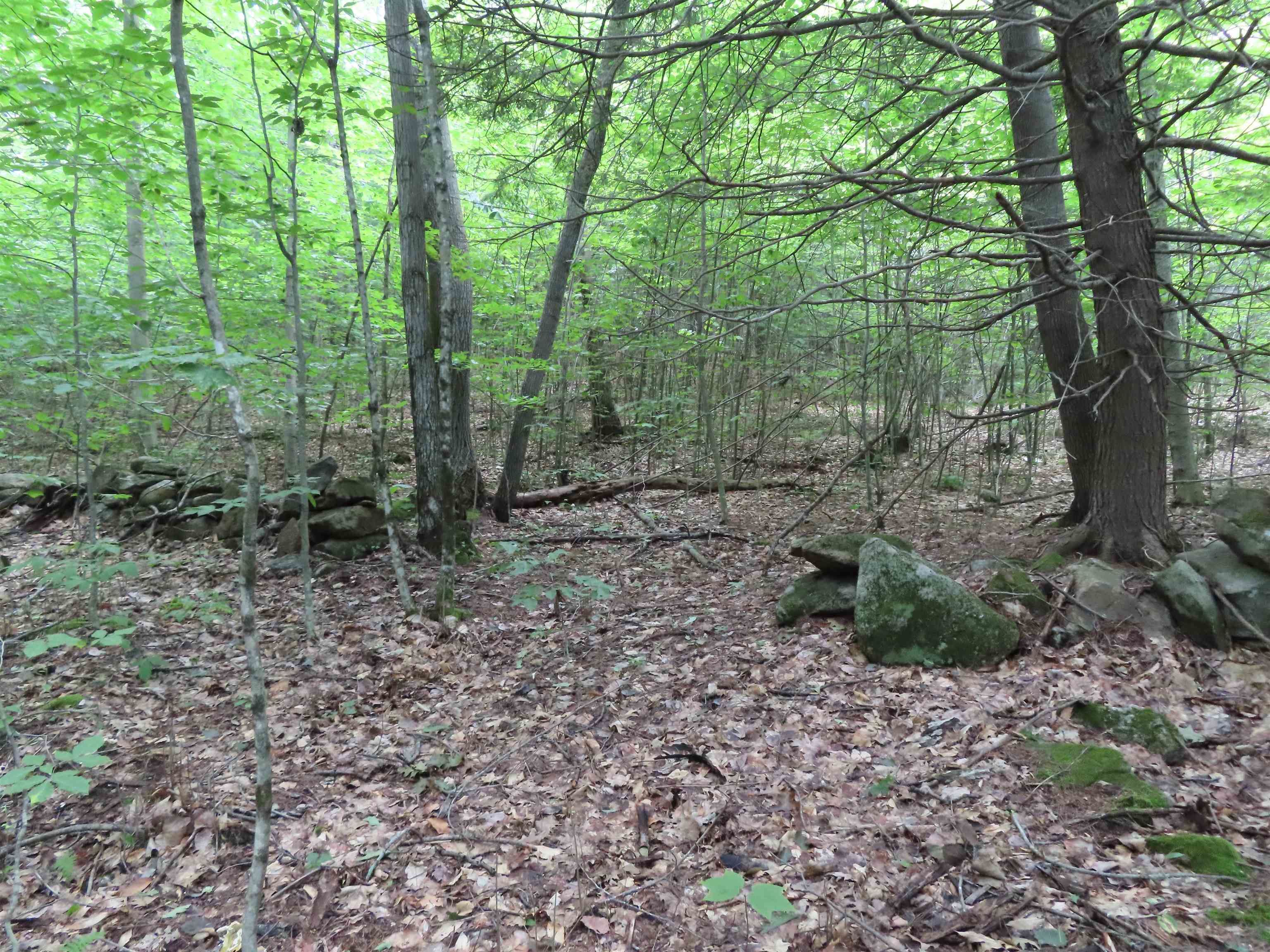 Lot 49 Parsonage Hill Road Gilmanton, NH 03237 - Photo 14 of 22