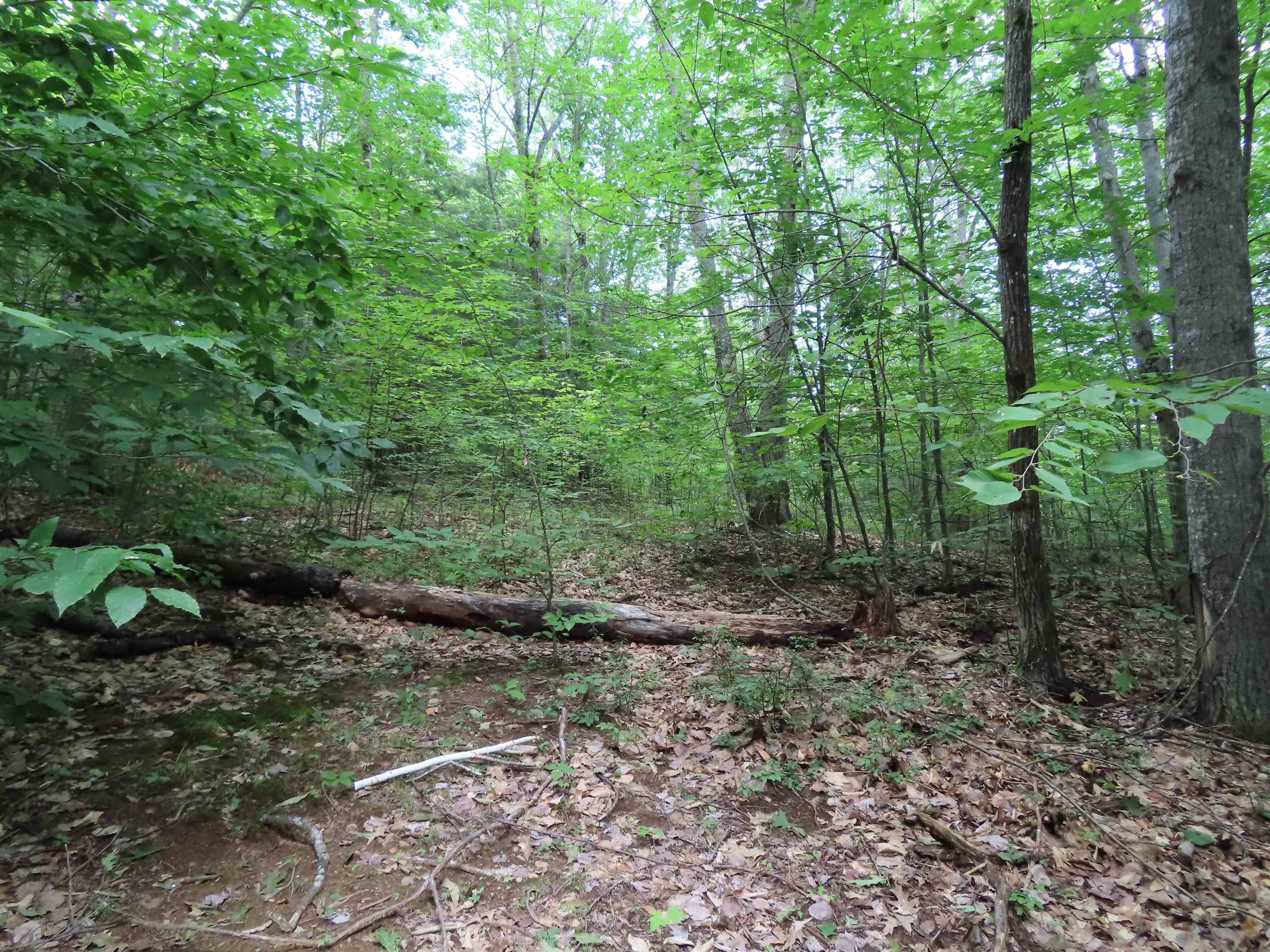 Lot 49 Parsonage Hill Road Gilmanton, NH 03237 - Photo 15 of 22