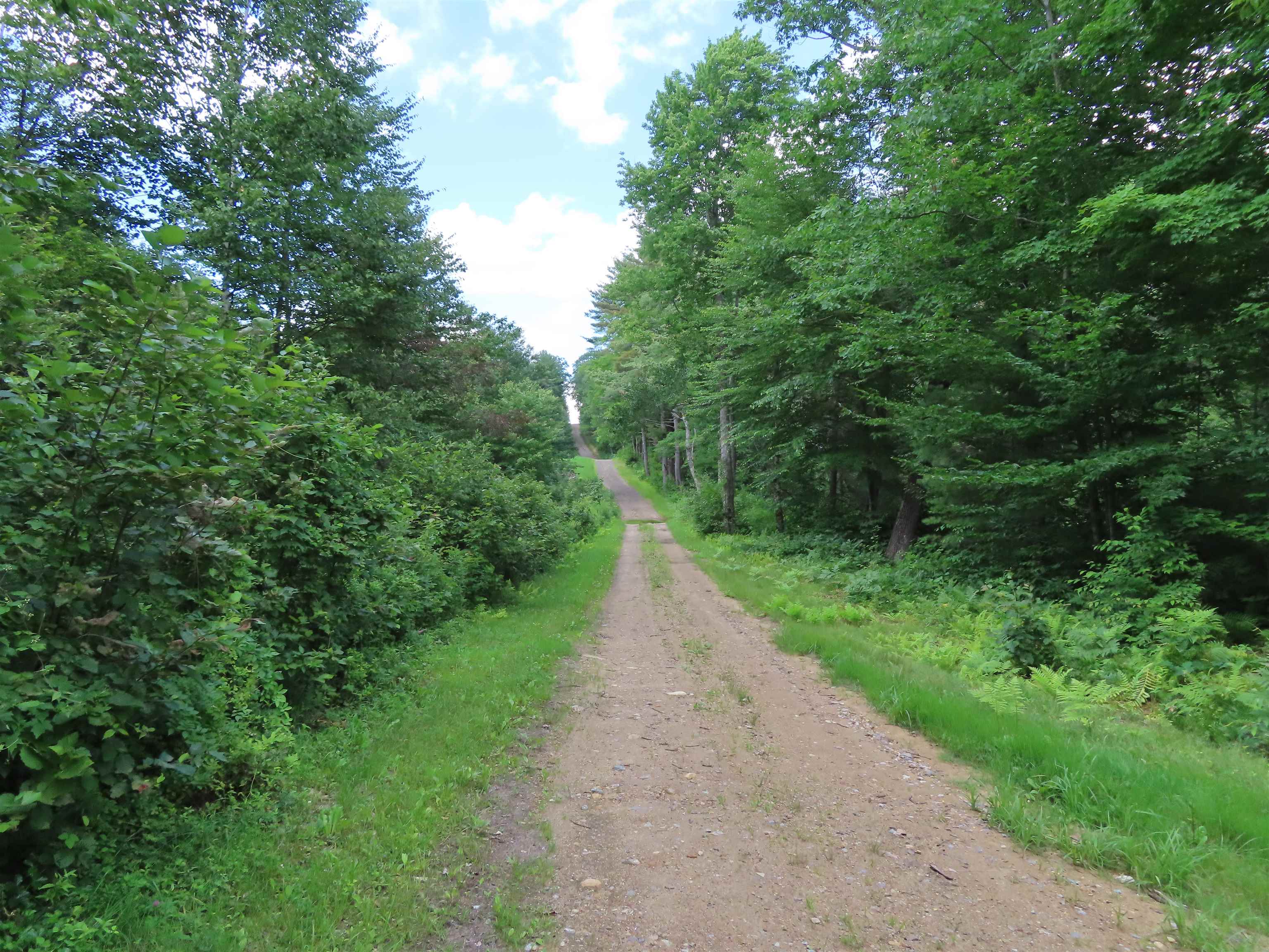Lot 49 Parsonage Hill Road Gilmanton, NH 03237 - Photo 3 of 22