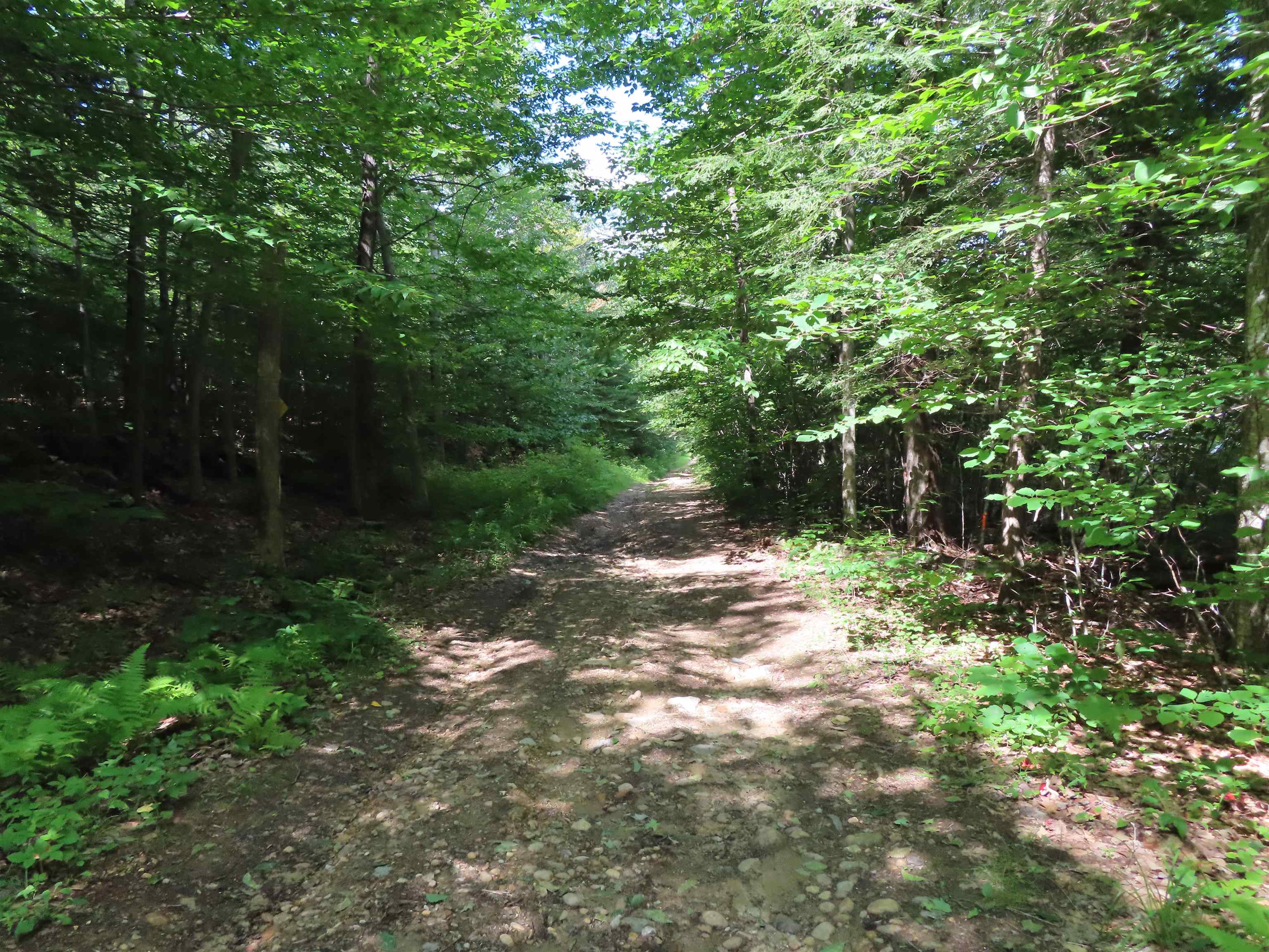 Lot 49 Parsonage Hill Road Gilmanton, NH 03237 - Photo 4 of 22