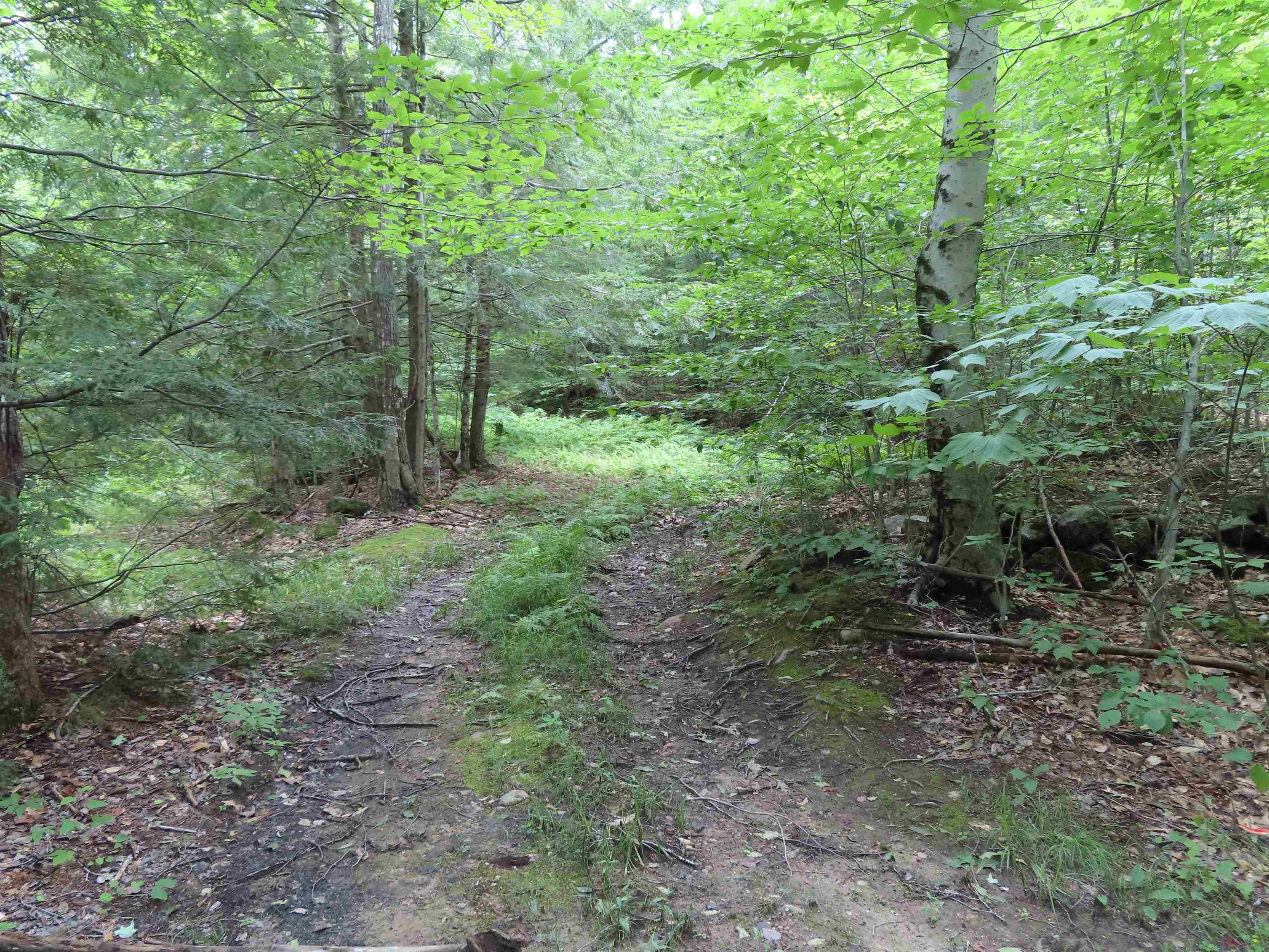 Lot 49 Parsonage Hill Road Gilmanton, NH 03237 - Photo 5 of 22