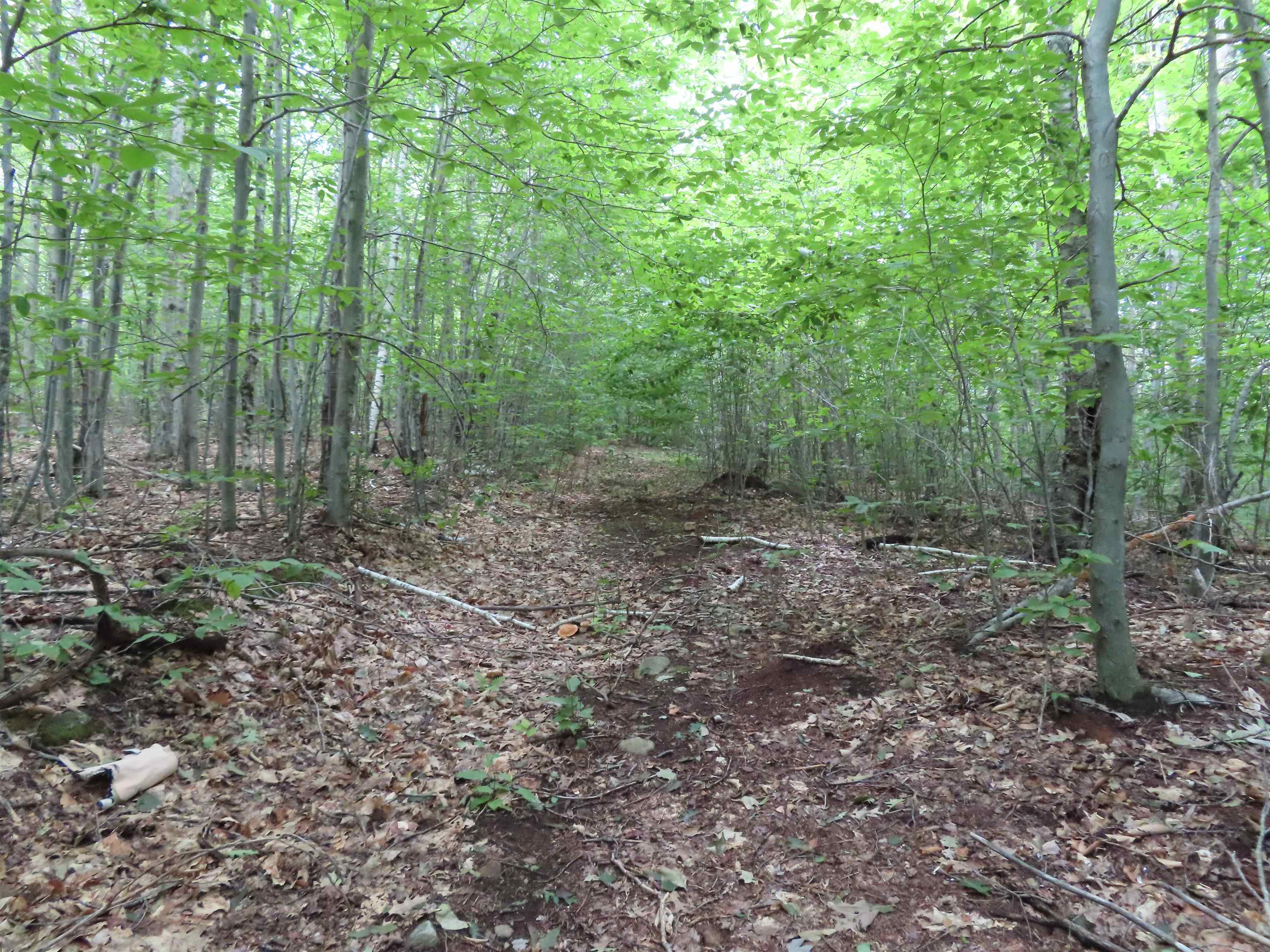 Lot 49 Parsonage Hill Road Gilmanton, NH 03237 - Photo 6 of 22