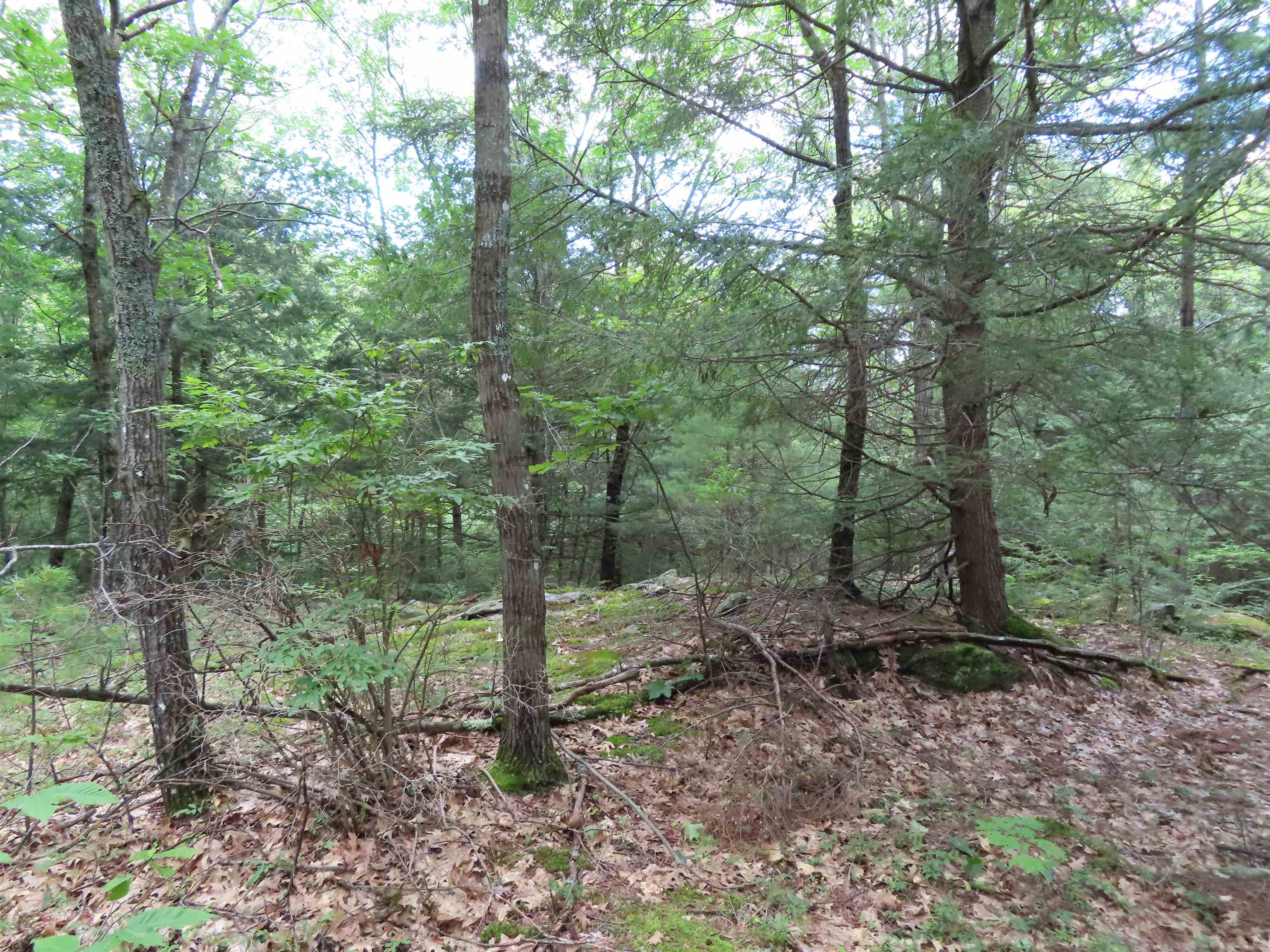 Lot 49 Parsonage Hill Road Gilmanton, NH 03237 - Photo 7 of 22