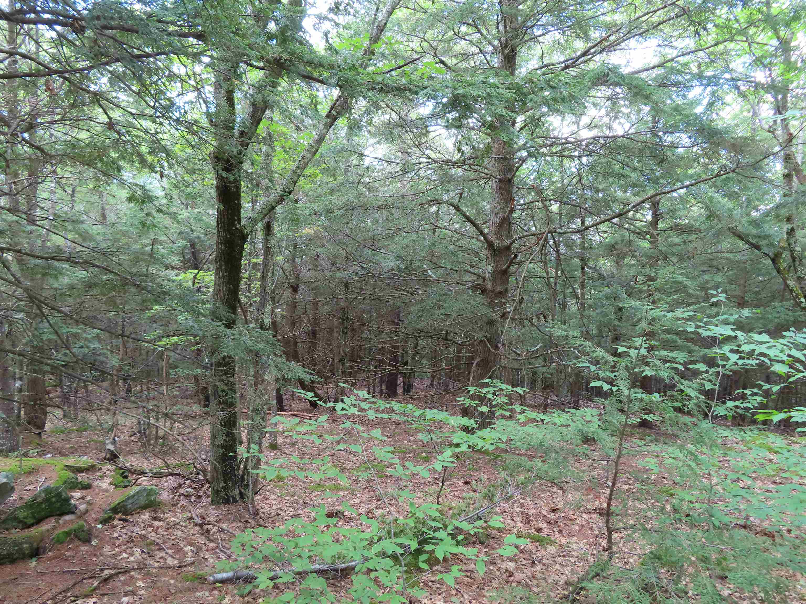 Lot 49 Parsonage Hill Road Gilmanton, NH 03237 - Photo 8 of 22