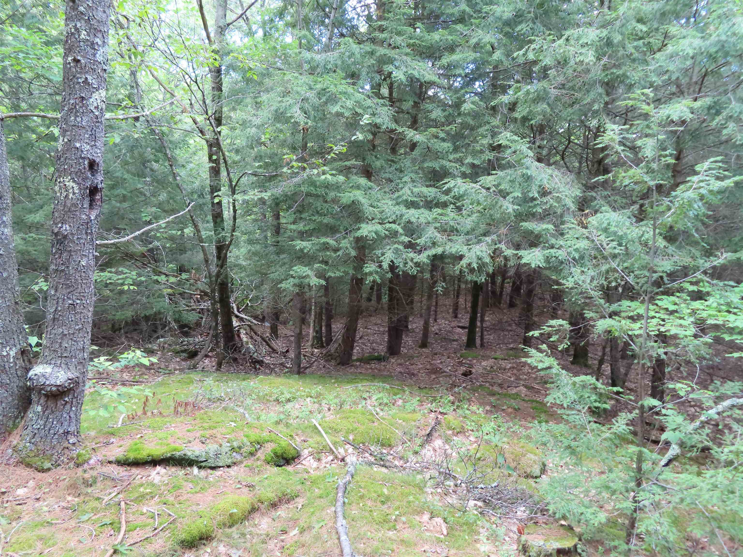 Lot 49 Parsonage Hill Road Gilmanton, NH 03237 - Photo 9 of 22