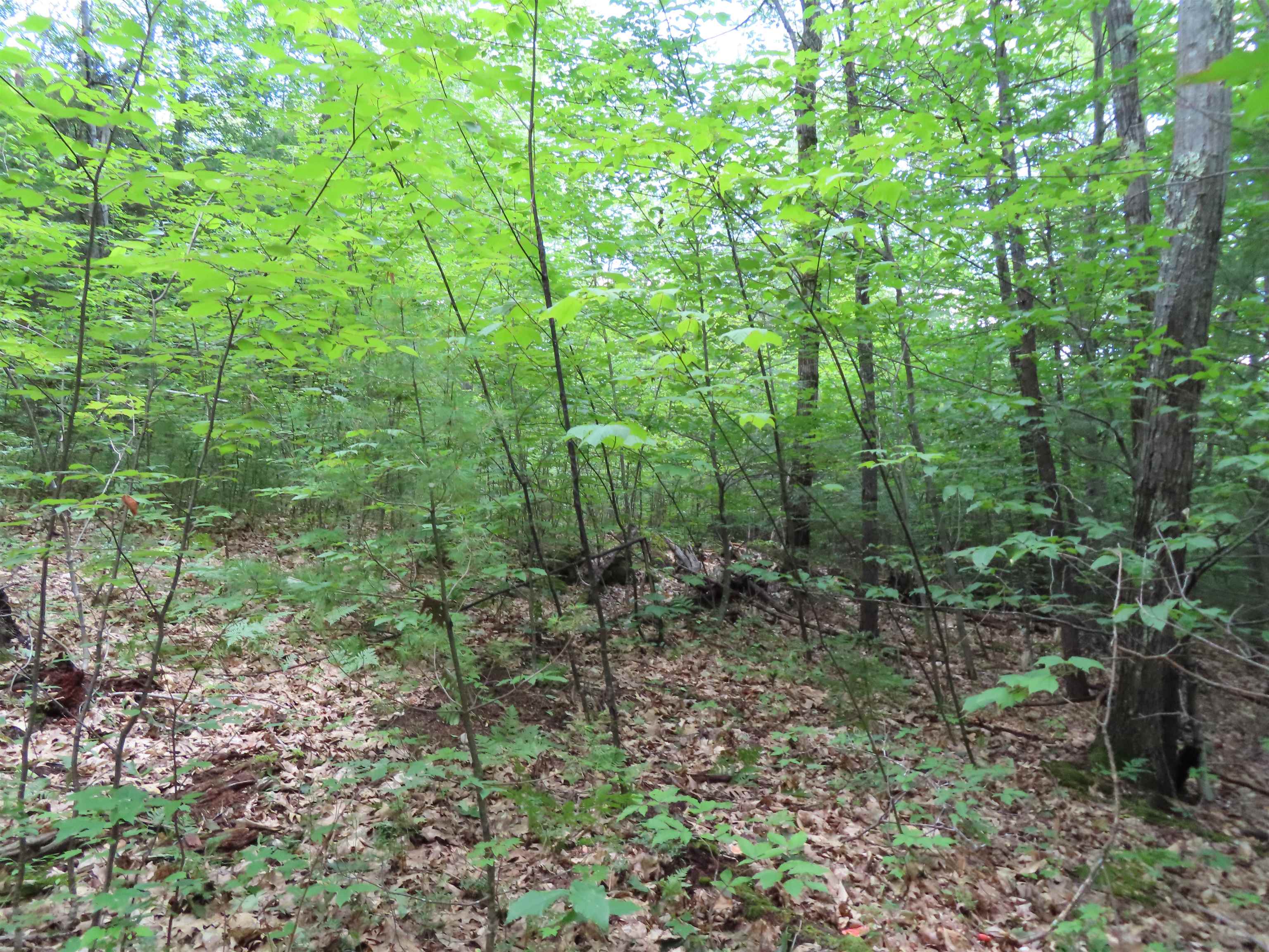 Lot 49 Parsonage Hill Road Gilmanton, NH 03237 - Photo 10 of 22