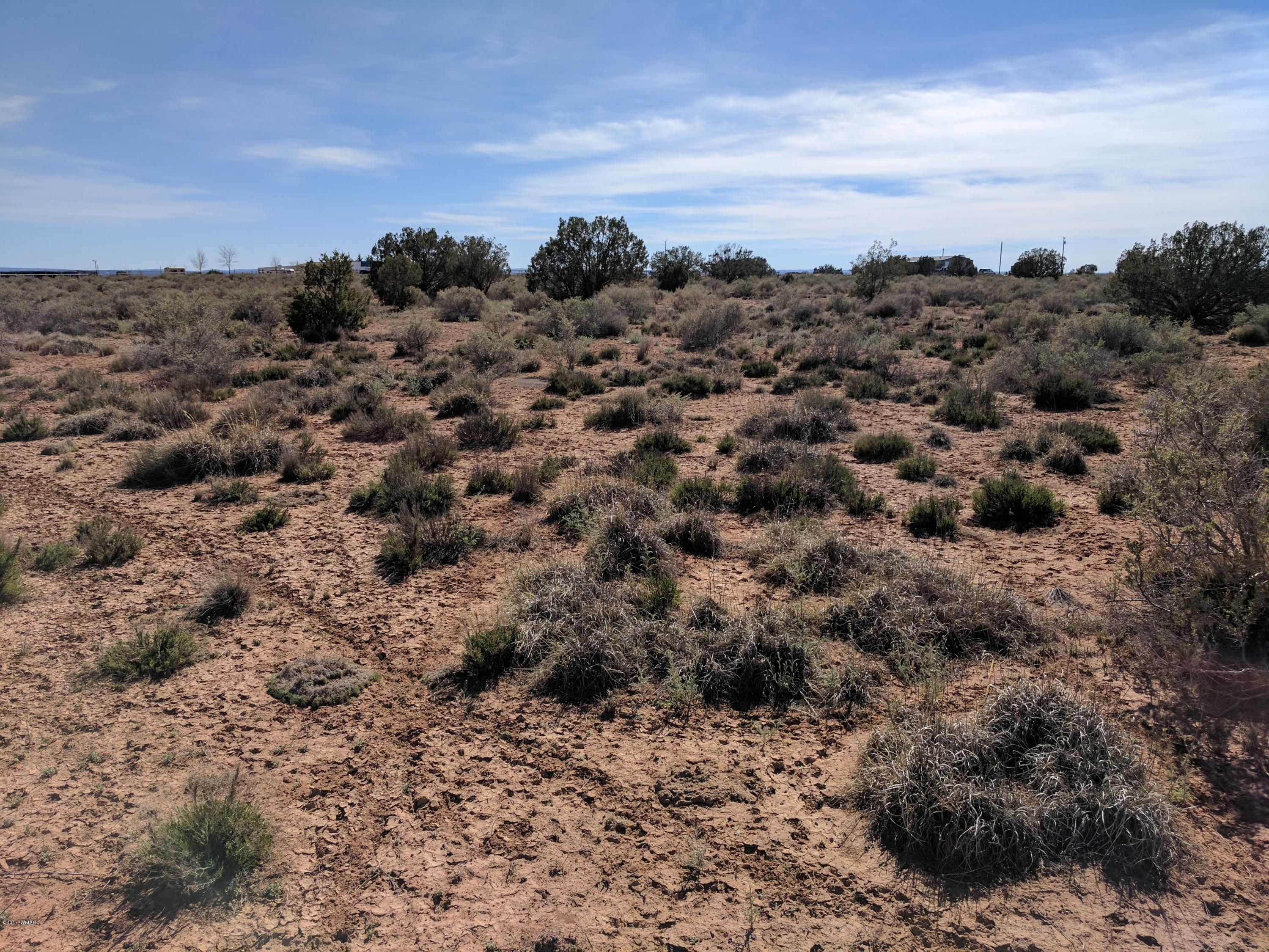 Tbd Tbd Antelope Ridge Road Snowflake, AZ 85937 - Photo 3 of 10