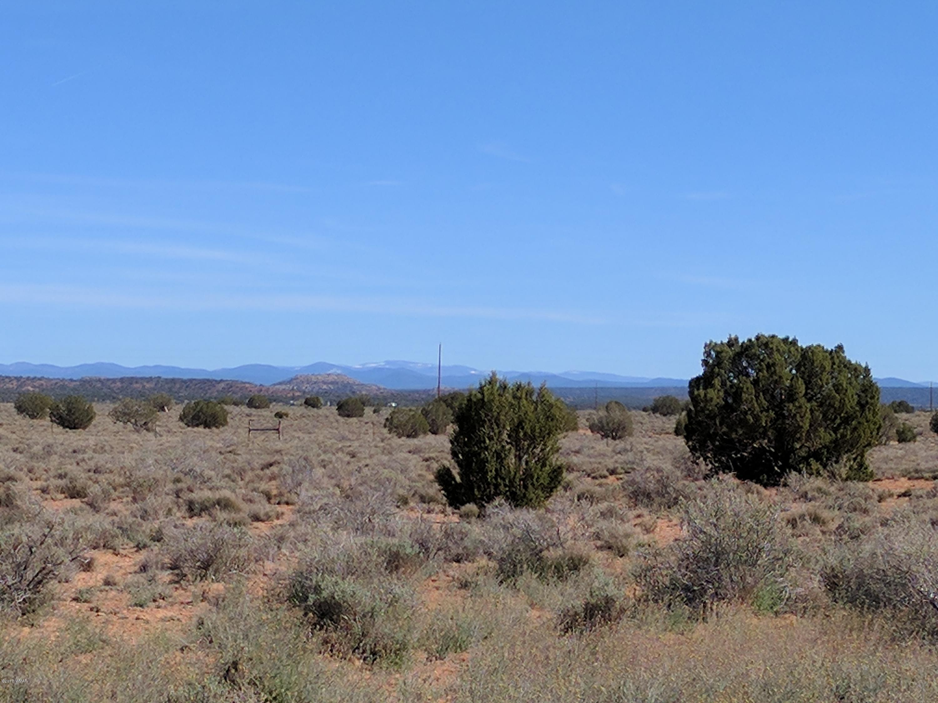 Tbd Tbd Antelope Ridge Road Snowflake, AZ 85937 - Photo 9 of 10