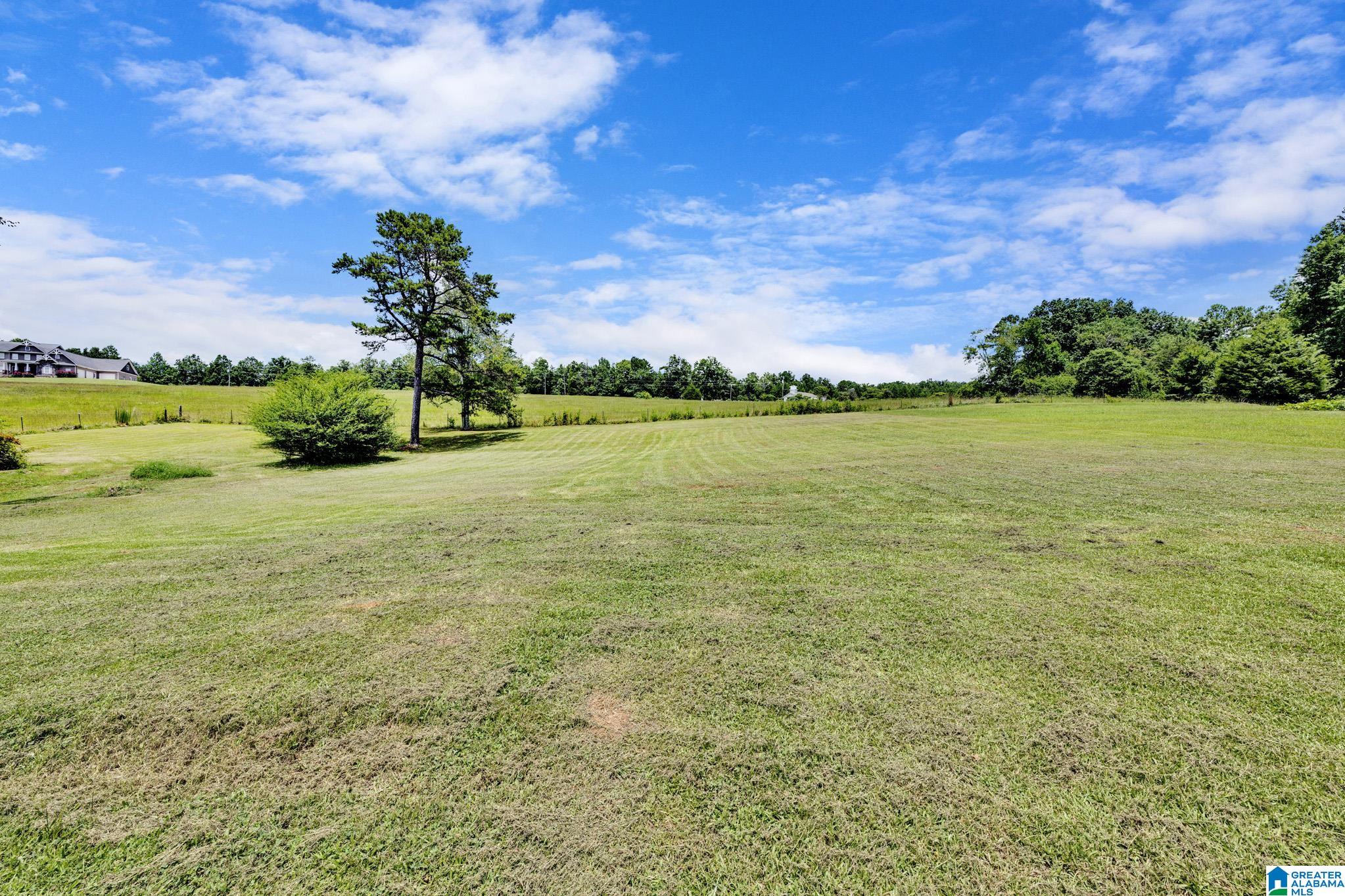 2495 Graves Gap Road Hayden, AL 35079 - Photo 18 of 20