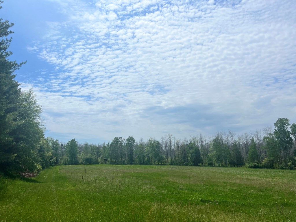 East Center Road Forestville, WI 54213 - Photo 3 of 15