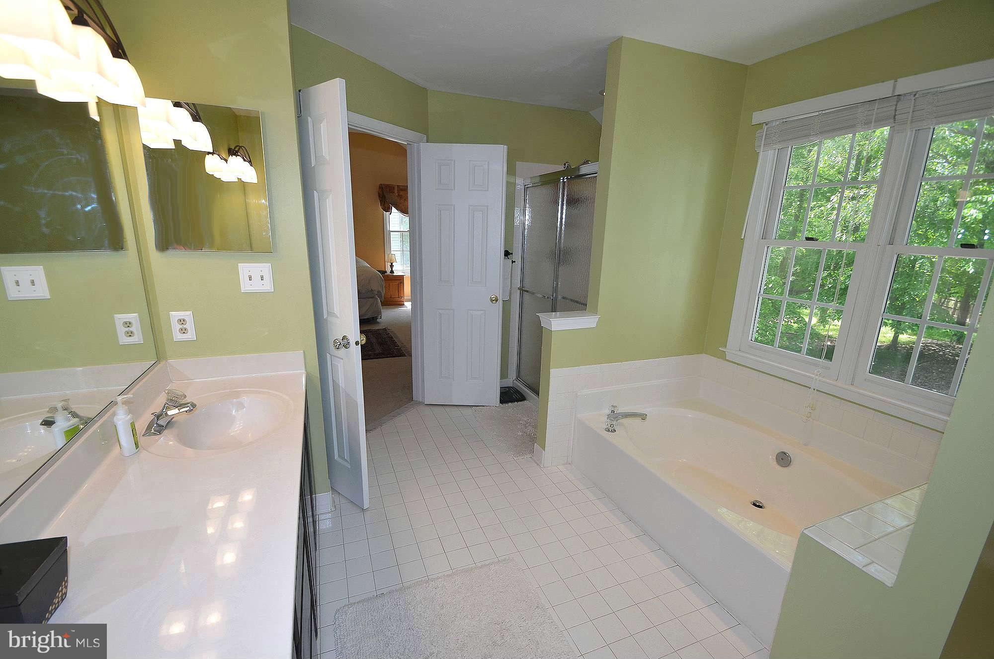 1764 Rochester Street Crofton, MD 21114 - Photo 15 of 29 Bath (Master)